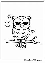 Owl Coloring Pages Wise Owls Happy sketch template