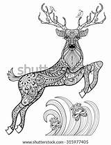 Deer Horned Drawn Birds Magic Hand Shutterstock Illustration Coloring Adult Stock Animal Preview Zentangle sketch template