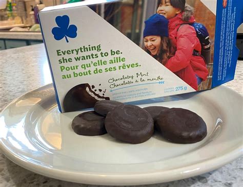 cookies  girl guides   mint cookie overload