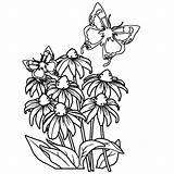 Bloemen Vlinders Leuk Leukvoorkids Tekeningen Blume Wonderbaarlijk Ausmalbilder Een Vlinder sketch template