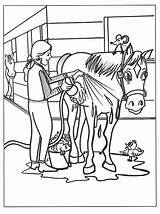 Paarden Paard Ausmalbilder Dieren Pferde Springen Uitprinten Colorare Dressuur Animaatjes Kuda Equine Tekening Cavalli Mewarnai Animasi Wordt Afgespoeld Stable Coloriages sketch template