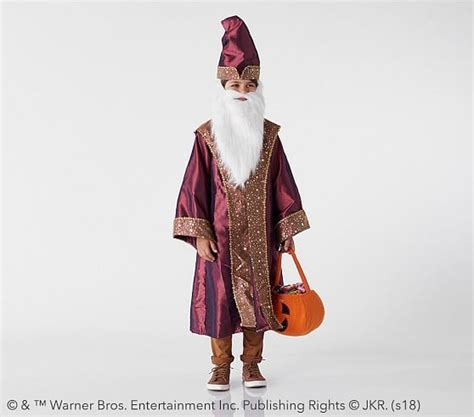 Harry Potter Dumbledore Costume Harry Potter Costumes At Pottery Barn