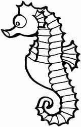 Seahorse Outline Template Clip Clipart sketch template