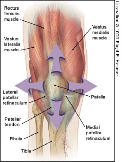 Anterior Knee Pain For The Crossfire
