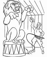 Lion Circus Coloring Sheet Pages Template sketch template