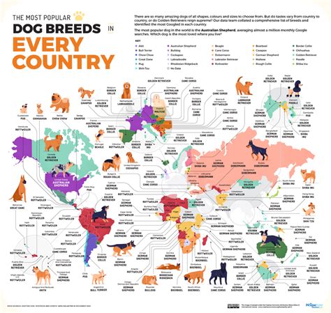 cool maps reveal   popular dog breed   country earthly mission cane corso shiba