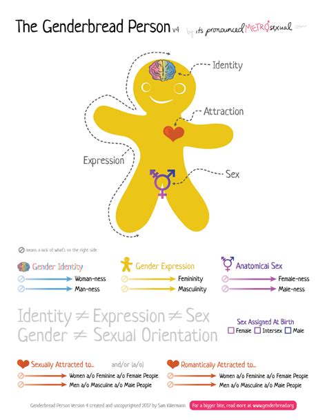 making sense of it all understanding sexual and gender expression