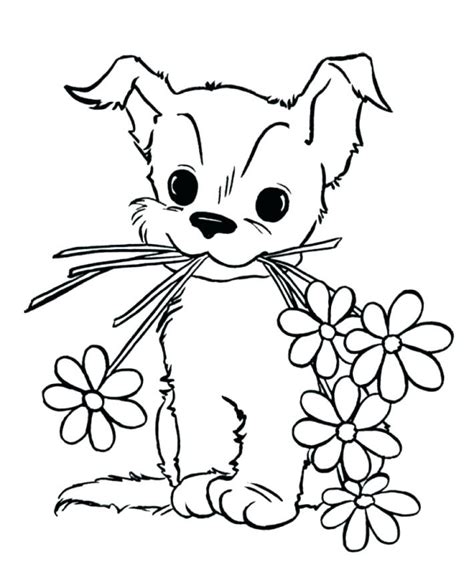pets coloring pages  coloring pages  kids