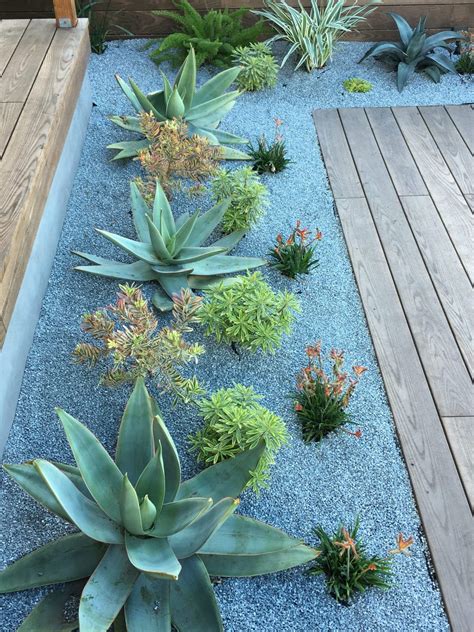 cool outdoor landscaping plants ideas