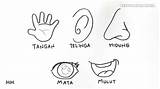 Hidung Paud Mewarnai Mulut Tubuh Telinga Anggota Tangan Kaki Bagian Kepala Menggambar Ikuti Jakbar Lomba sketch template