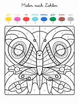 Zahlen Erwachsene Schmetterling Malvorlage Malvorlagen Familie Schule sketch template