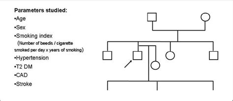 pedigree chart information gleaned age sex smoking