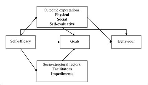 illustration  social cognitive theory   illustration  social  scientific diagram