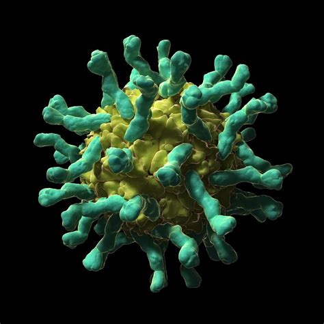 deadly viruses   captivatingly beautiful  viewed