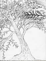 Willow Coloring Tree Pages Easy Weeping Template Getcolorings sketch template