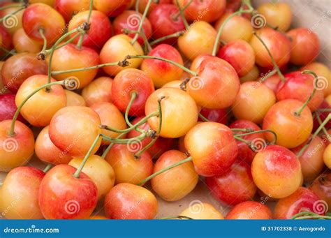 orange cherries stock photo image  summer healthy