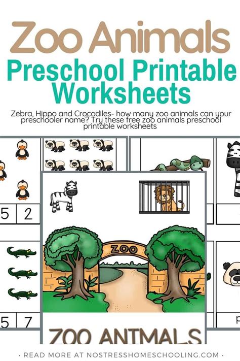 zoo animals printable worksheets  resources pre  preschool