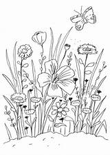 Blumenwiese Ausmalen Blumen Malvorlagen Malvorlage Kinder sketch template