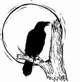 Raven Harvest Crow Moonlight sketch template