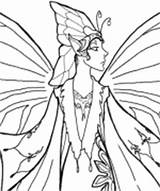 Coloring Pheemcfaddell Pages Click Fairy Court Color sketch template