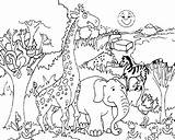Ausmalbilder Dschungeltiere Tierwelt Tropen sketch template