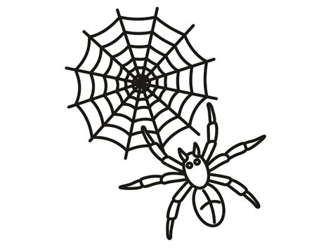 coloring page  spider image animal place