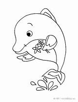 Dolphin Coloring Pages Kawaii Baby Dauphin Color Cute Dessin Dolphins Tale Kids Print Mandala Animal Para Sea Coloriage Hellokids Animals sketch template