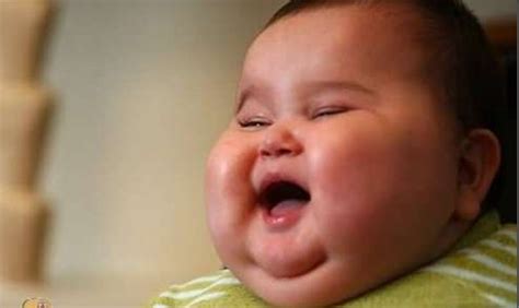 funny fat baby picturesreadtosee