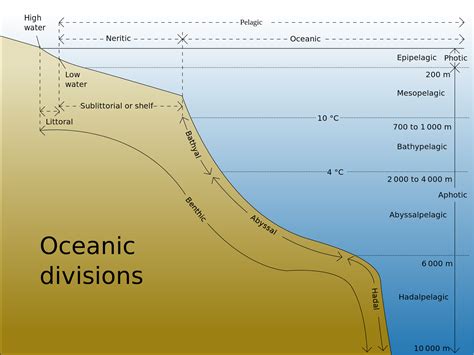 learning geology ocean basins