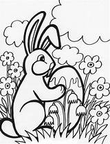 Malvorlagen Hase Ausdrucken Osterhasen Ostern Hasen Osterhase Bunny Kostenlos Familyholiday Bilby Ausschneiden Oster Osterdeko sketch template