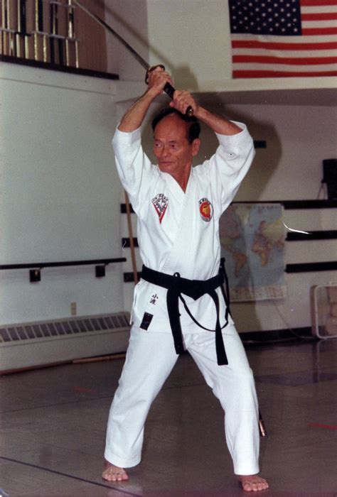 Grand Master Odo Kriegisch Martial Arts Shiho Bugei Kai