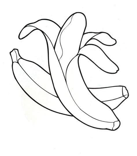 contoh gambar buah buahan  anak tk gambar buah buahan