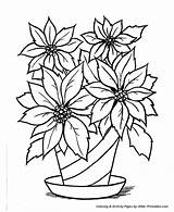 Poinsettia Coloring Pages Christmas sketch template