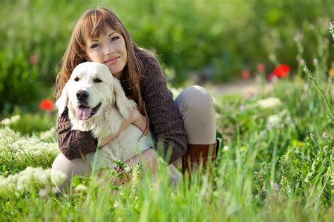 healthy pets  tips  maintaining  dogs good health usa today