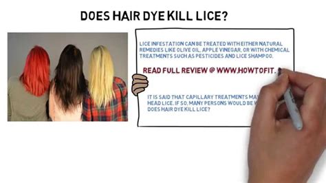 head lice  color treated hair