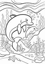 Dolphin Coloring Pages Dolphins Printable Blubber Their sketch template
