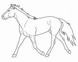 Paarden Kleurplaten Paard Kleurplaat Trotting Makkelijk Lineart Schattige Tekeningen Animaatjes Equine Coloriages Uitprinten Mewarn11 Kleuren Op Bezoeken Plaatjes Downloaden Honden sketch template