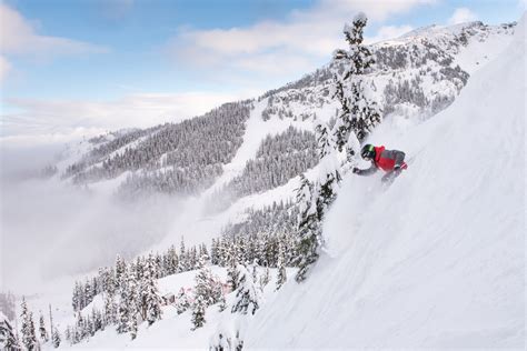 reasons  whistler blackcomb   perfect staycation news
