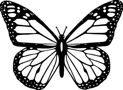 butterfly outline clipart    clipartmag