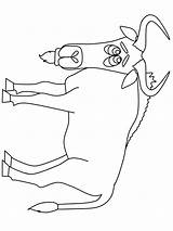 Gnu Coloring Pages Animals Wildebeest Designlooter Advertisement 960px 54kb Coloringpagebook sketch template