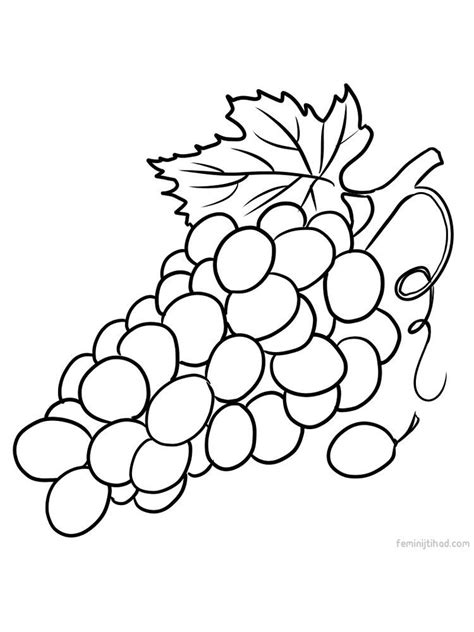grape coloring images print grapes coloring page fruit coloring