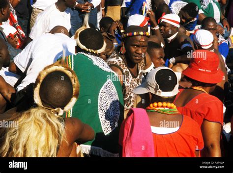 zulu reed dance zeremonielle teilnehmer natal südafrika