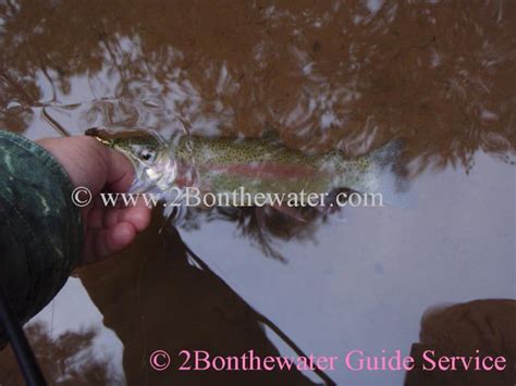 2bonthewater Guide Service Reports December 22 2010