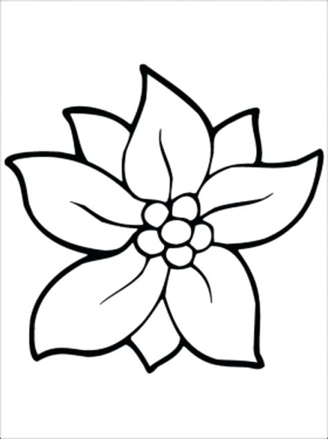 jasmine flower drawing    clipartmag