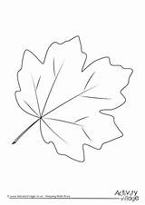 Coloring Leaves Pages Leaf Oak Tropical Thanksgiving Autumn Drawing Flower Printable Getcolorings Jungle Getdrawings Watercolor Island Rainforest Animals Colorings Print sketch template