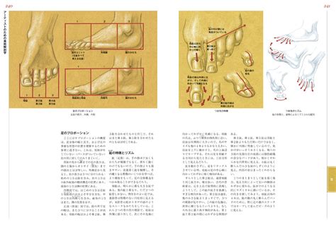 美術解剖学オススメの勉強法（1） 美術解剖学モデル海斗