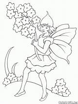 Girl Elf Coloring Elves Pages Bouquet Bird Colorkid Big sketch template