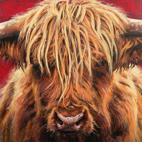highland cow by leigh banks