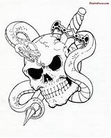 Snake Skull Tattoo Tribal Drawing Skulls Cool Sword Drawings Evil Roses Rose Tattoos Sample Designs Dagger Getdrawings Pirate 3d Sketch sketch template