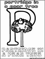 Partridge Peartree sketch template